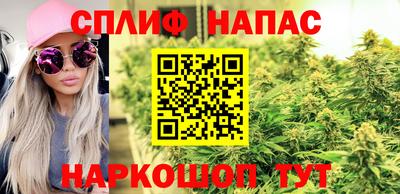 мет Новозыбков