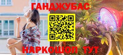 мет Новозыбков