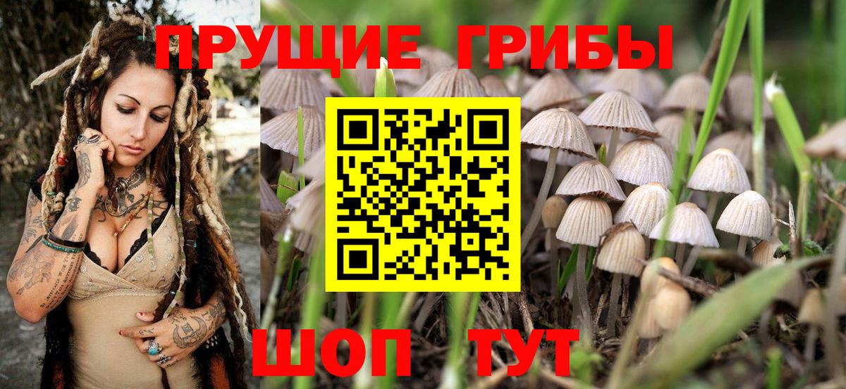 Галлюциногенные грибы MAGIC MUSHROOMS  Псилоцибиновые грибы ЛСД  Рассказово  Вход с VPN 